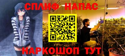наркотики Берёзовский