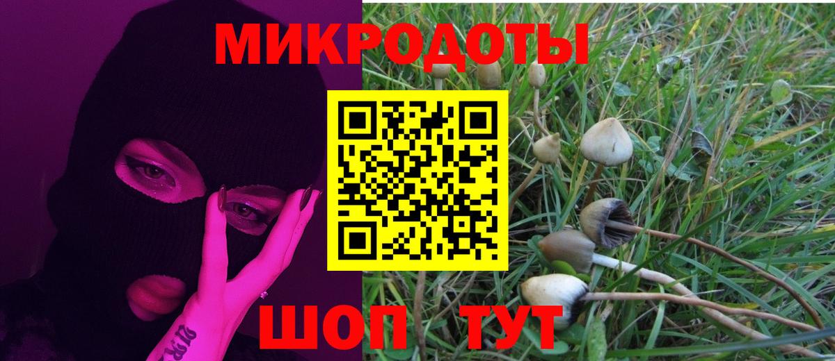 Псилоцибиновые грибы мицелий Зеленогорск